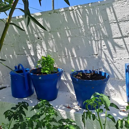 Casa Toraja * 托马尔