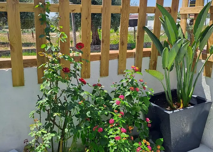 Casa Toraja Casa vacanze